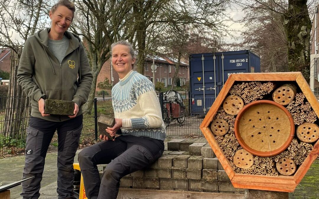 BeeWell&nbsp;en Stichting Kei voor de Bij: herstel voor mens &eacute;n wilde bij&nbsp;